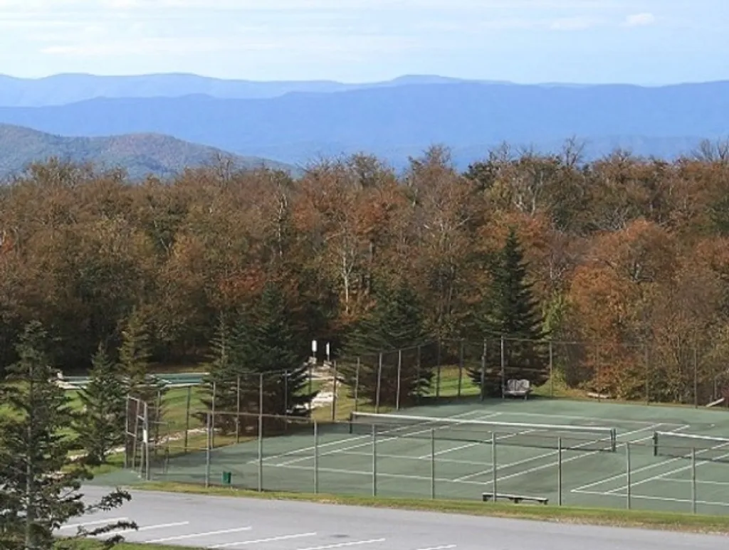 301 Pinnacle Inn Road Beech Mountain Nc 