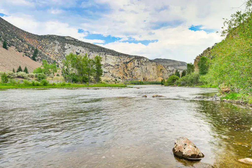 Wise River Mt four